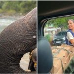 Aurelie Moereman Sempat Jajal Puasa Handphone Selama Seminggu Saat Merasa Hampa karena Depresi